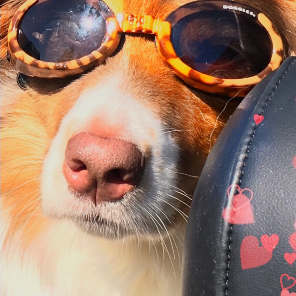 Meet your Posher, Jill